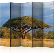 Sermi Artgeist African acacia tree, Hwange National Park, Zimbabwe II, 225x172cm