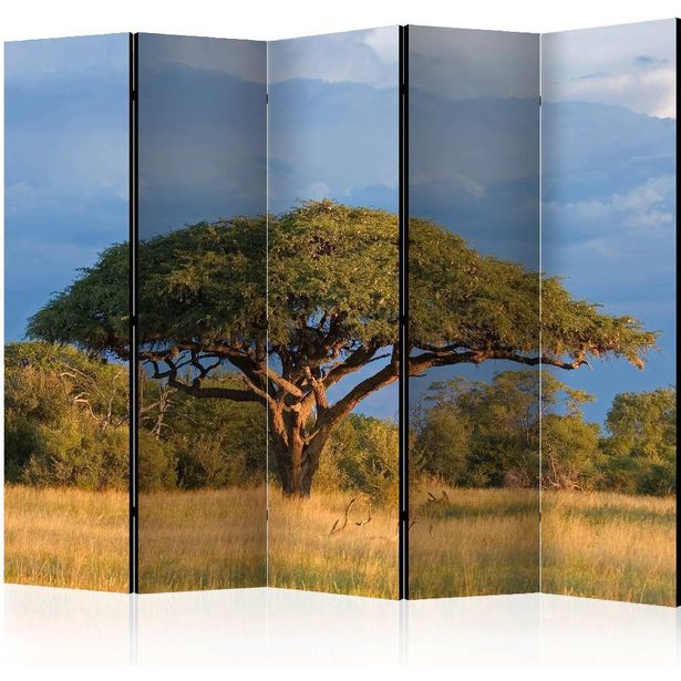 Sermi Artgeist African acacia tree, Hwange National Park, Zimbabwe II, 225x172cm
