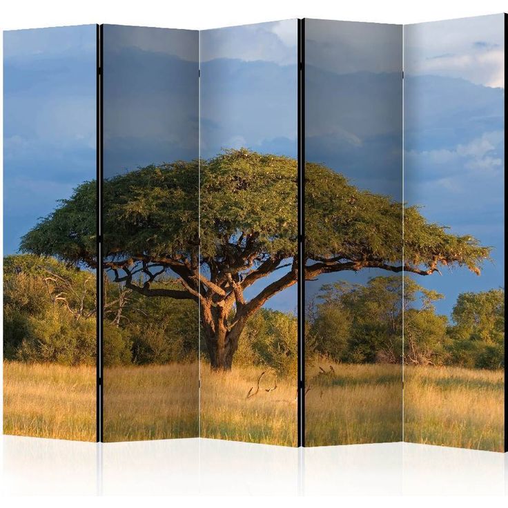 Sermi Artgeist African acacia tree, Hwange National Park, Zimbabwe II, 225x172cm