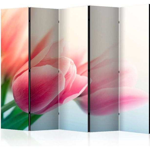 Sermi Artgeist Spring and tulips II, 225x172cm