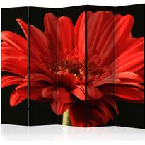 Sermi Artgeist Red gerbera flower II, 225x172cm