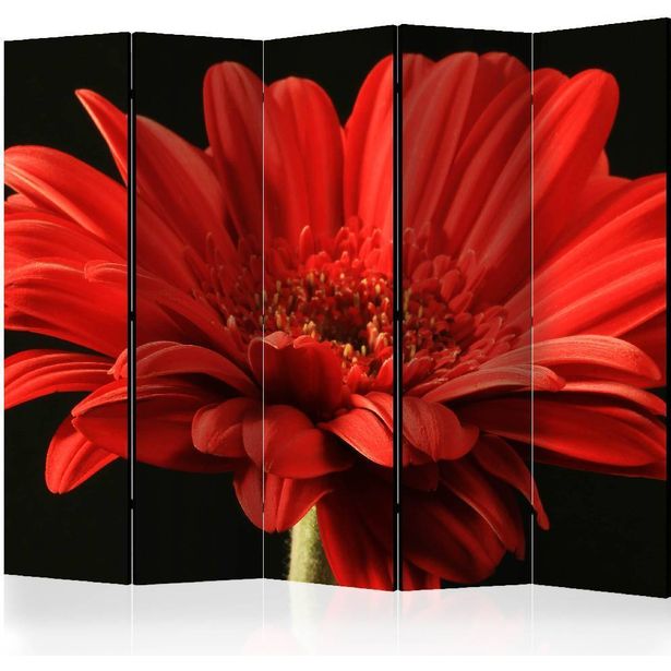 Sermi Artgeist Red gerbera flower II, 225x172cm