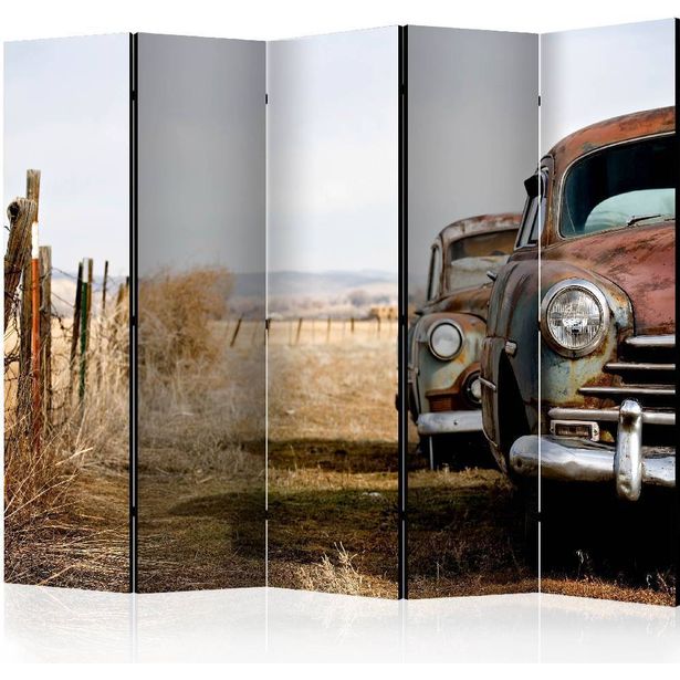 Sermi Artgeist Two old, American cars II, 225x172cm