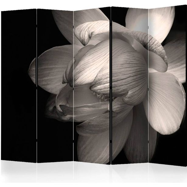 Sermi Artgeist Lotus flower II, 225x172cm