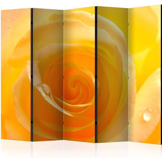 Sermi Artgeist Yellow rose II, 225x172cm