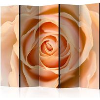 Sermi Artgeist Peach-colored rose II, 225x172cm