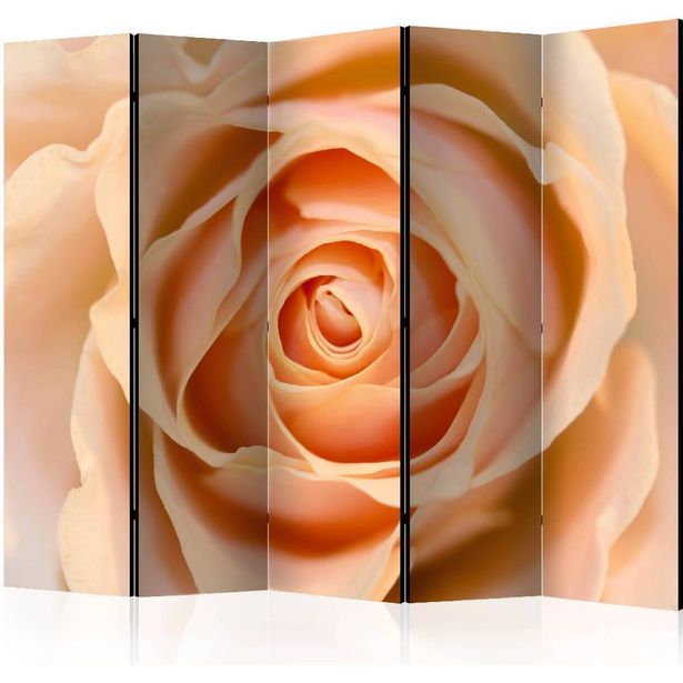 Sermi Artgeist Peach-colored rose II, 225x172cm