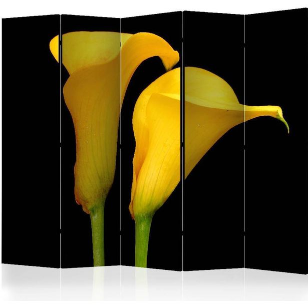 Sermi Artgeist Two yellow calla flowers on a black background II, 225x172cm