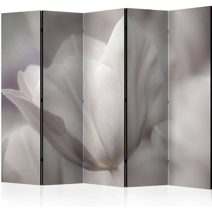 Sermi Artgeist Tulip - black and white photo II, 225x172cm