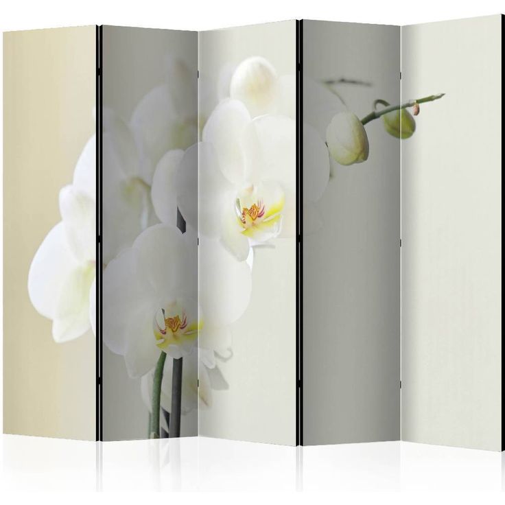 Sermi Artgeist White orchid II, 225x172cm