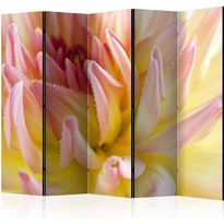 Sermi Artgeist Pastel colored dahlia flower with dew drops II, 225x172cm