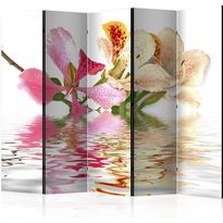 Sermi Artgeist Tropical flowers - Orchid tree bauhinia II, 225x172cm