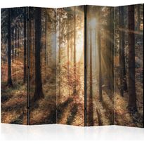 Sermi Artgeist Autumnal Forest, 225x172cm