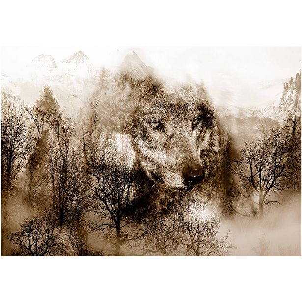 Kuvatapetti Artgeist Mountain Predator, ruskea, eri kokoja
