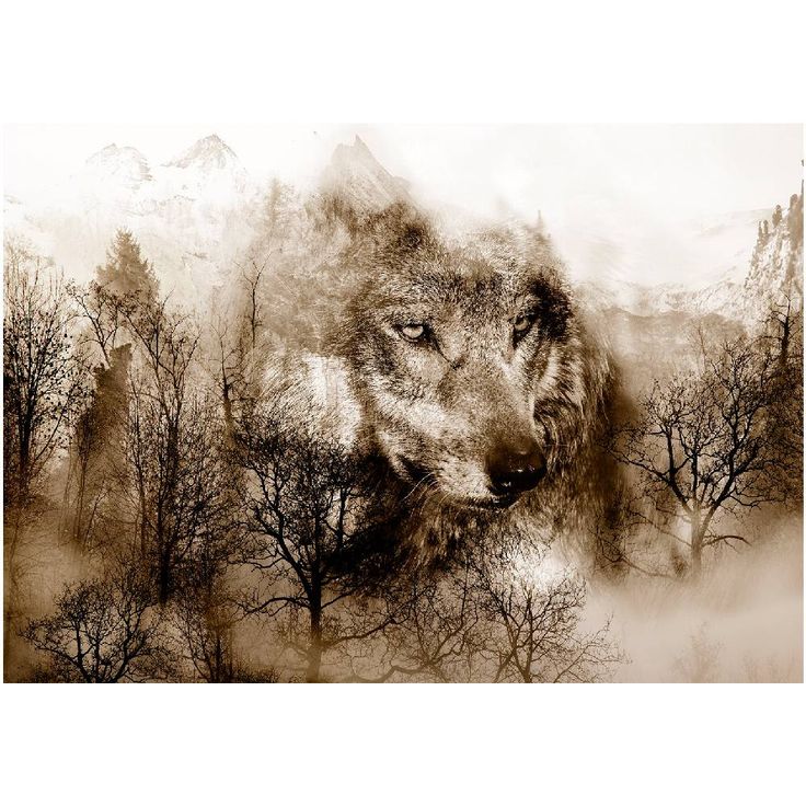 Kuvatapetti Artgeist Mountain Predator, ruskea, eri kokoja