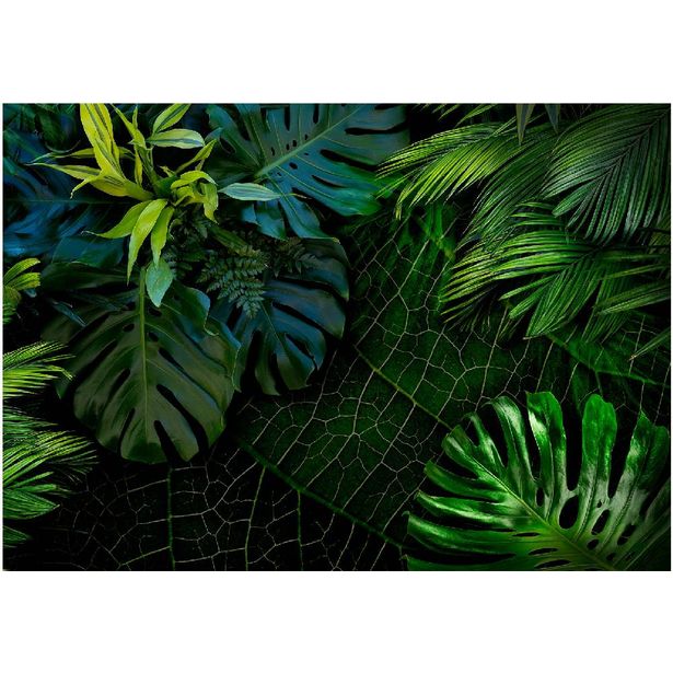 Kuvatapetti Artgeist Dark Jungle, eri kokoja