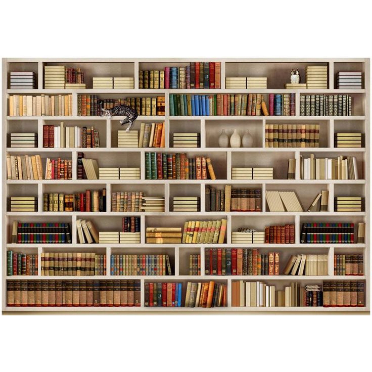 Kuvatapetti Artgeist Home library, eri kokoja