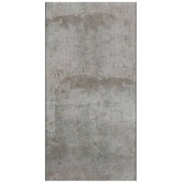 Tapetti Artgeist Gray pigeon, 50x1000cm