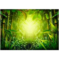 Sisustustarra Artgeist Forest fairy, eri kokoja