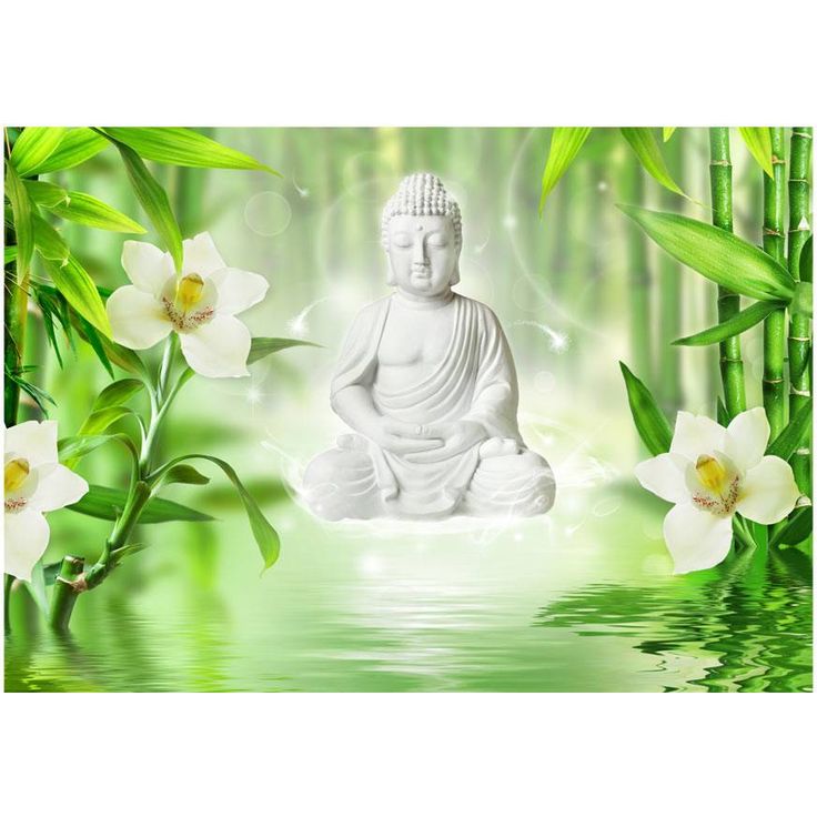 Sisustustarra Artgeist Buddha and nature, eri kokoja