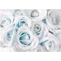 Sisustustarra Artgeist Satin Rose III, eri kokoja
