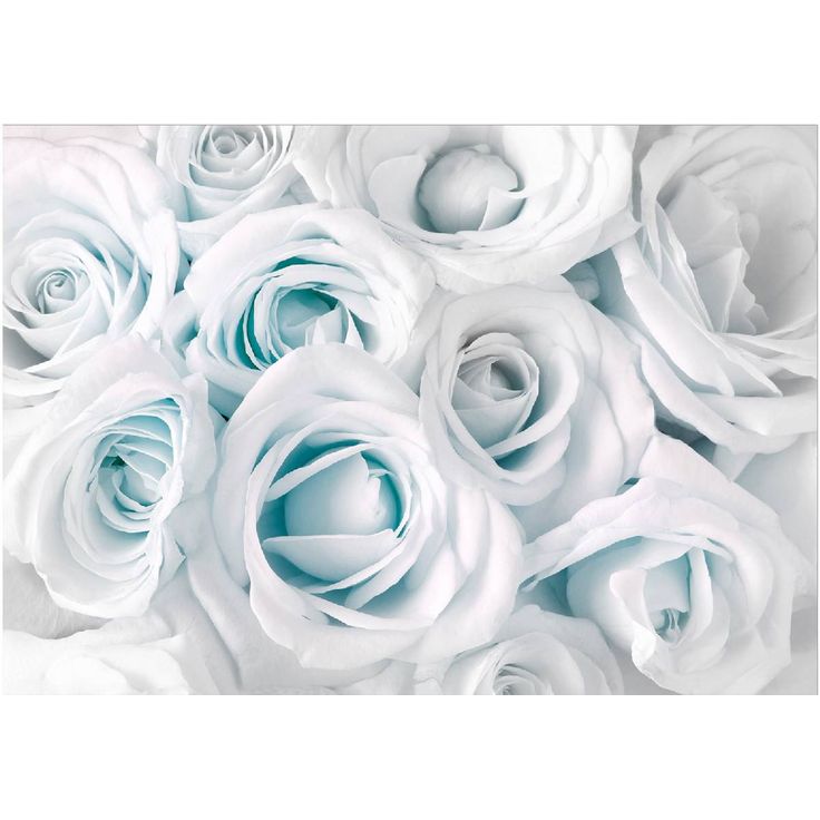 Sisustustarra Artgeist Satin Rose III, eri kokoja
