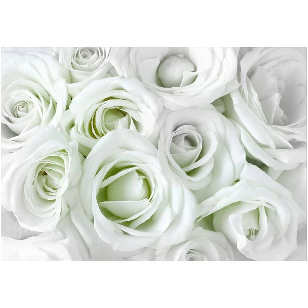 Sisustustarra Artgeist Satin Rose, eri kokoja
