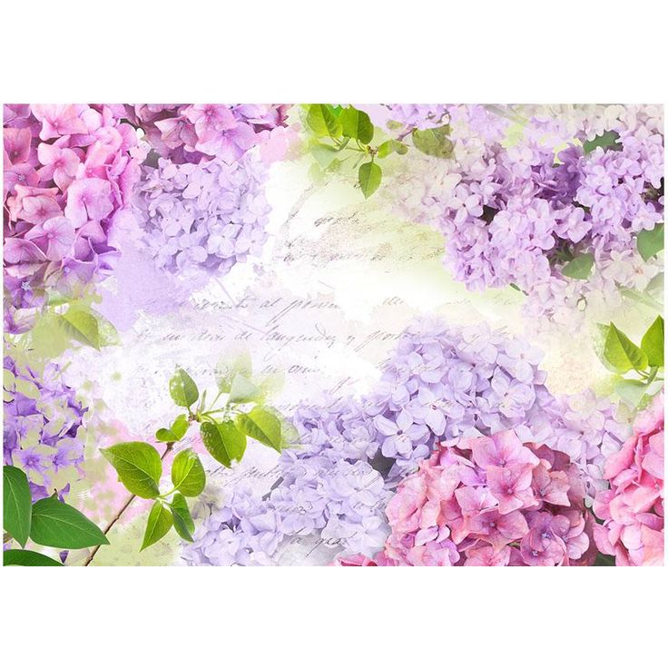 Sisustustarra Artgeist May's lilacs, eri kokoja