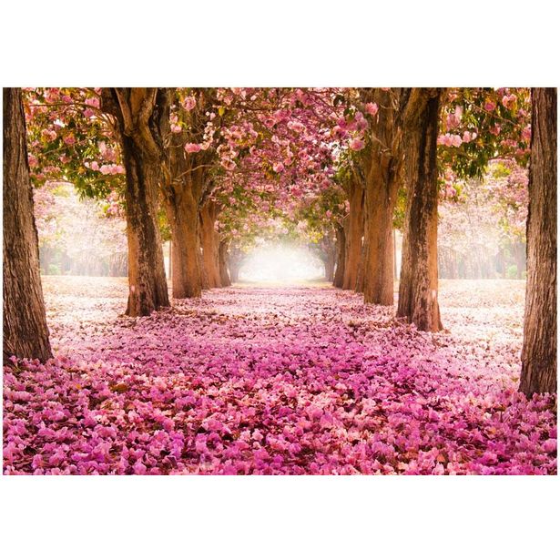 Sisustustarra Artgeist Pink grove, eri kokoja