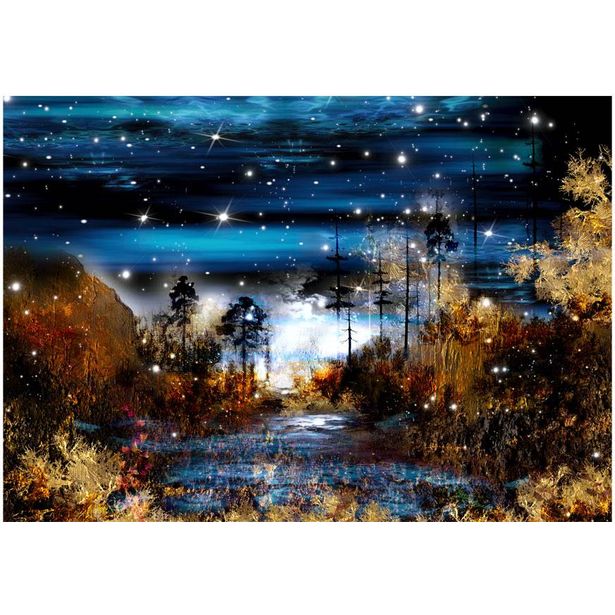 Sisustustarra Artgeist Magical forest, eri kokoja