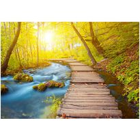 Sisustustarra Artgeist Forest, eri kokoja