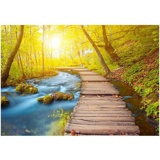 Sisustustarra Artgeist Forest, eri kokoja
