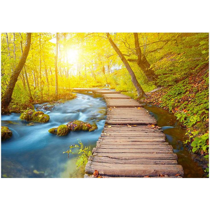 Sisustustarra Artgeist Forest, eri kokoja