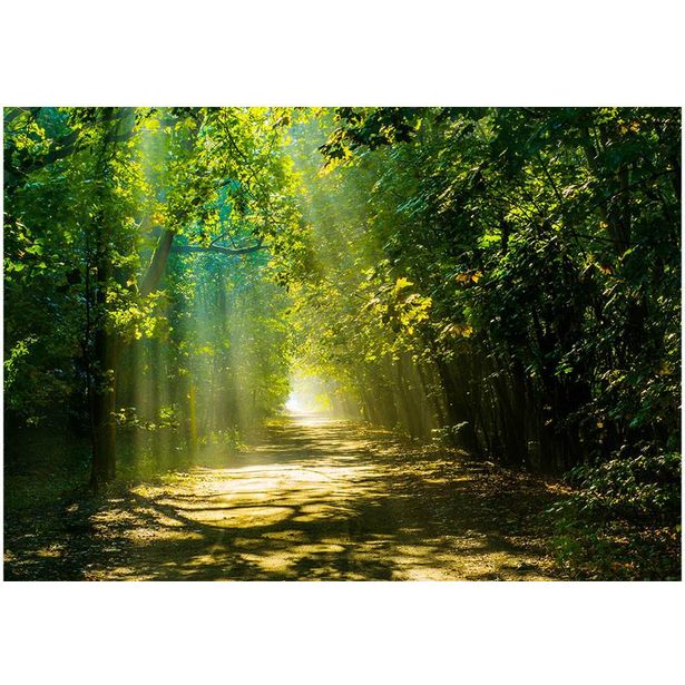 Sisustustarra Artgeist Road in Sunlight, eri kokoja
