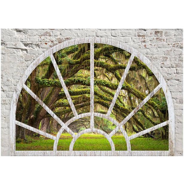 Sisustustarra Artgeist Window to Secret Forest, eri kokoja