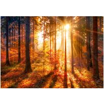 Sisustustarra Artgeist Autumnal Time, eri kokoja
