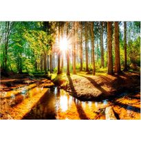 Sisustustarra Artgeist Marvelous Forest, eri kokoja