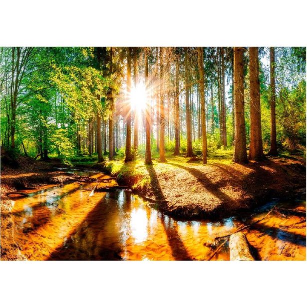 Sisustustarra Artgeist Marvelous Forest, eri kokoja