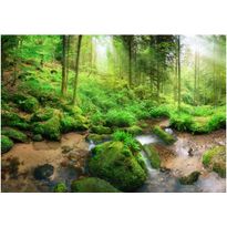 Sisustustarra Artgeist Humid Forest, eri kokoja