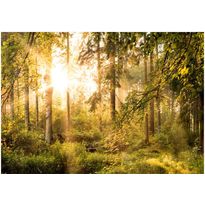 Sisustustarra Artgeist Mystic of the Morning, eri kokoja