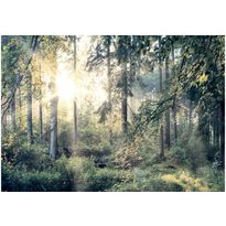 Sisustustarra Artgeist Tales of a Forest, eri kokoja