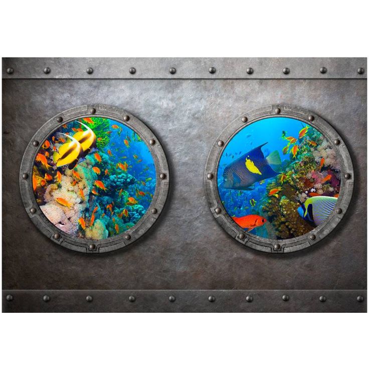 Sisustustarra Artgeist Window to the underwater world, eri kokoja