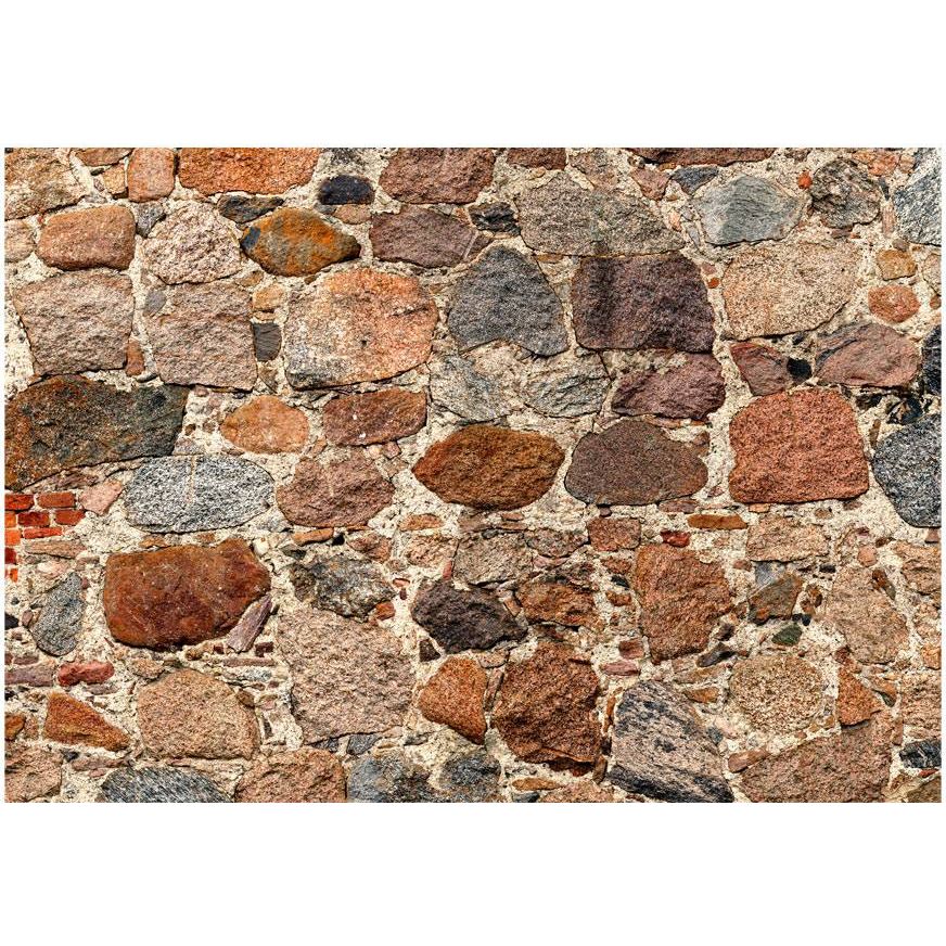 Sisustustarra Artgeist Stony Artistry, 245x343cm