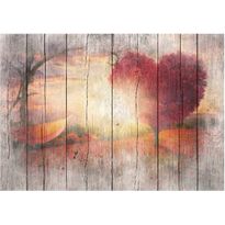 Sisustustarra Artgeist Autumnal Love, eri kokoja