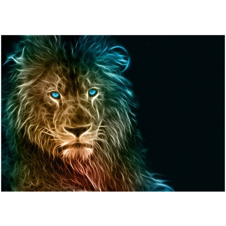 Sisustustarra Artgeist Abstract lion, eri kokoja