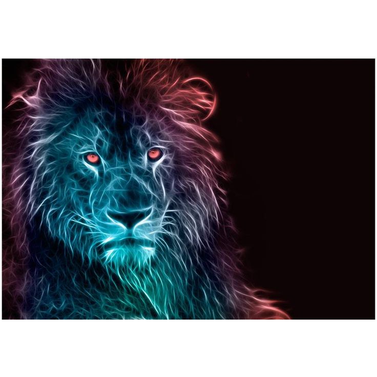 Sisustustarra Artgeist Abstract lion - rainbow, eri kokoja