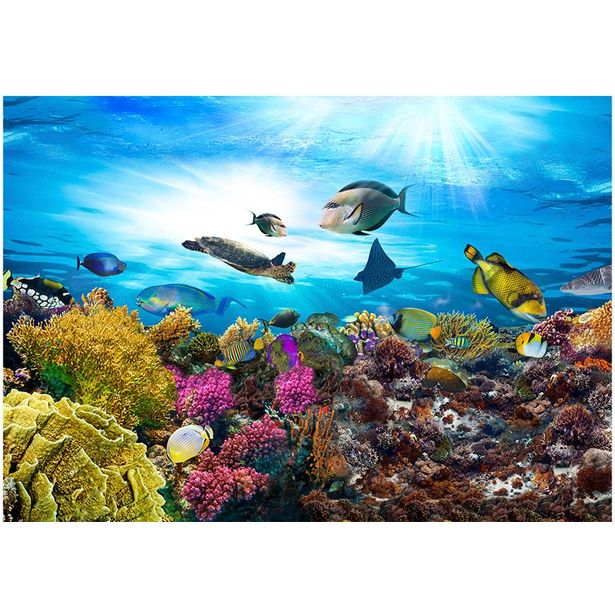 Sisustustarra Artgeist Coral reef, eri kokoja