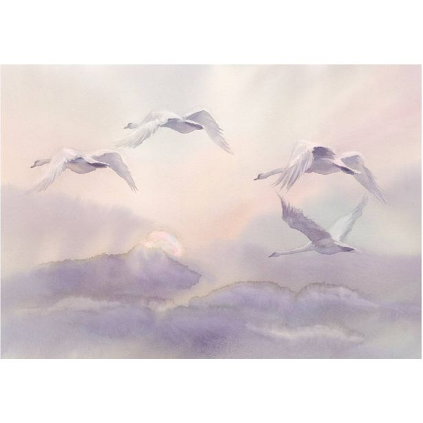 Sisustustarra Artgeist Flying Swans, eri kokoja