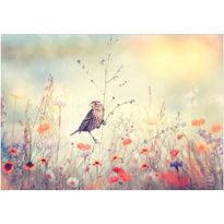 Sisustustarra Artgeist Field Bird, eri kokoja