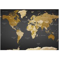 Sisustustarra Artgeist World Map: Modern Geography, eri kokoja